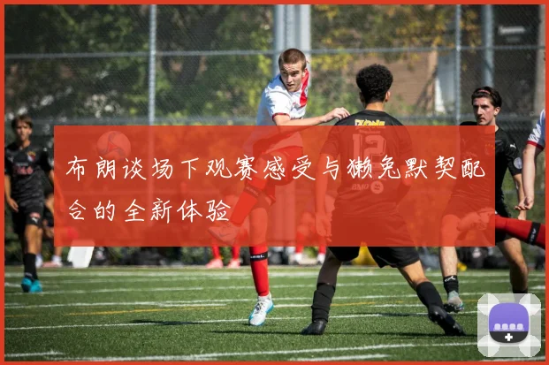 布朗谈场下观赛感受与獭兔默契配合的全新体验